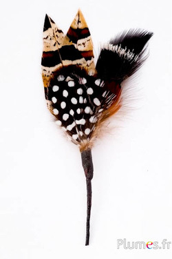 Composition en plumes n° 6 - longueur 14 cm - naturel
